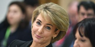 Who Is Michaelia Cash Husband?