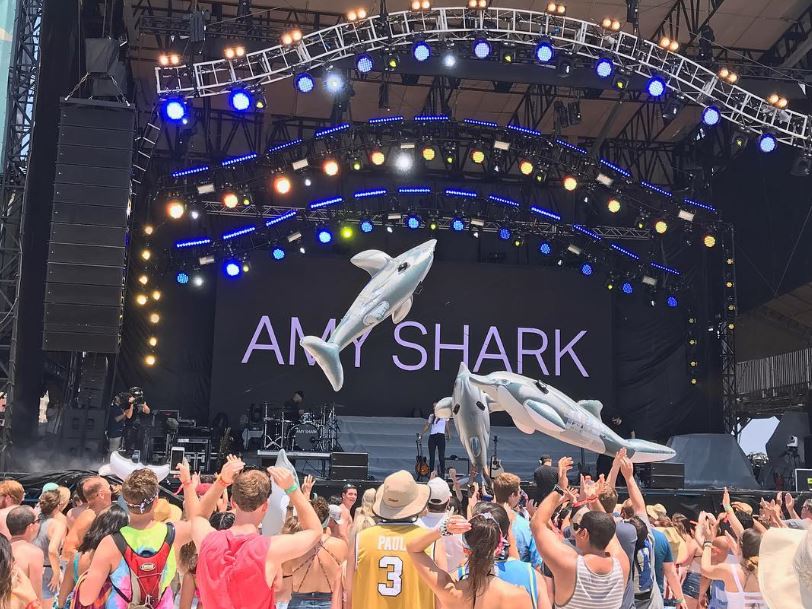 amy shark wiki