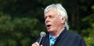 david icke net worth, wiki, bio, age, height