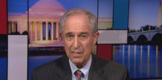 lanny davis net worth