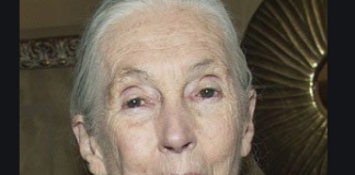 Jane Goodall wiki, biogrphy, age, height, married, husband, children, net worth