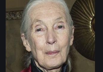 Jane Goodall wiki, biogrphy, age, height, married, husband, children, net worth