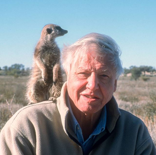 David Attenborough Biography